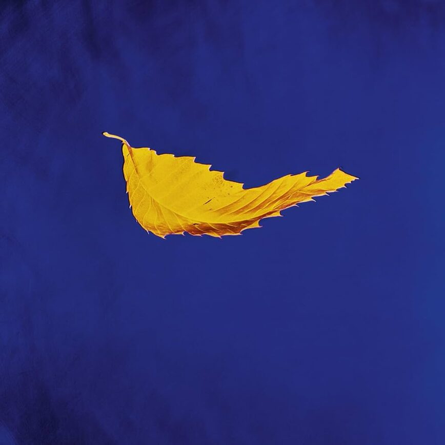Iterations: New Order – “True Faith”