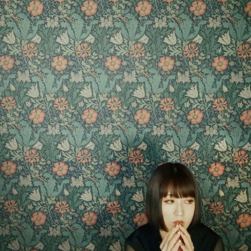 Plastic Girl In Closet – “Can’t Stop My Heart”