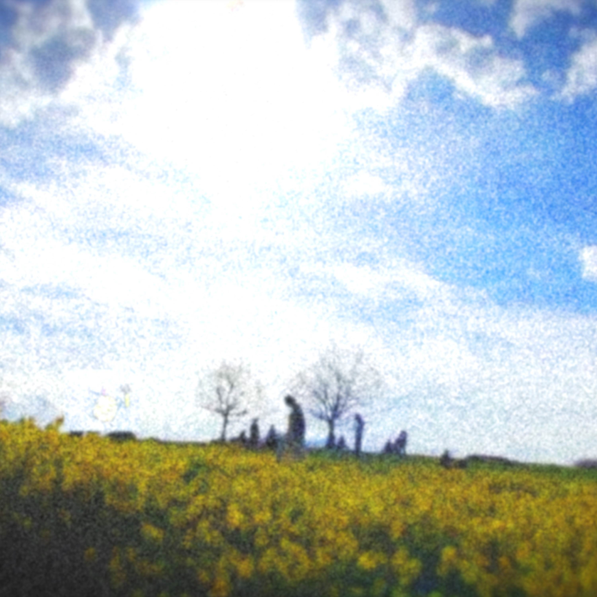 Tofu Kingdom – “Here’s Where The Story Ends”